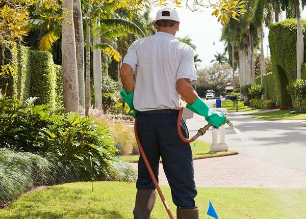 About Orono ME Pest Control Pros